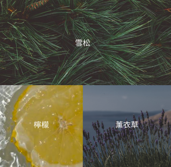 減碳禮盒 - Image 6